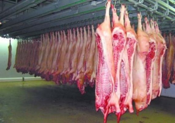 Importurile şi exporturile de animale, blocate